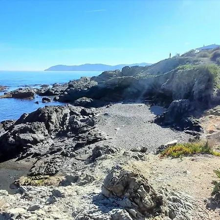 شقة Con Terraza Centro Del Puerto, Ideal Parejas - Llanca, Costa Brava - Es-170-31 *